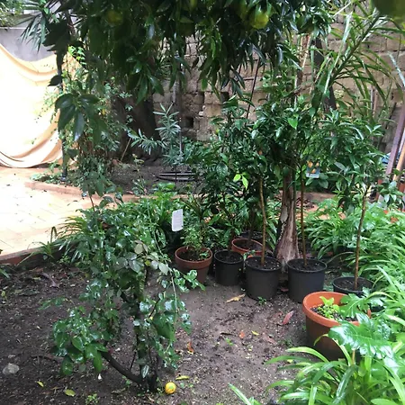 Il Giardino Di Daphne Bed & Breakfast Naples
